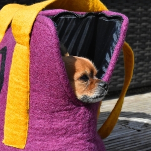 Dog Shoulder Carrier Bag
