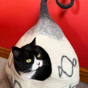 Soft Cat Basket