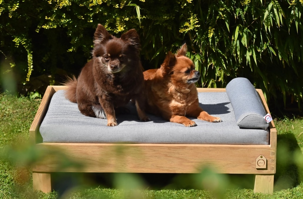 Dog Beds Made to Measure